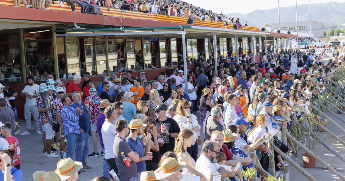 Mallorca Equestrian Competition Under 'Illegal' Controversy Due to Permit Issues; PSOE Fiercely Criticizes PP-Vox Government