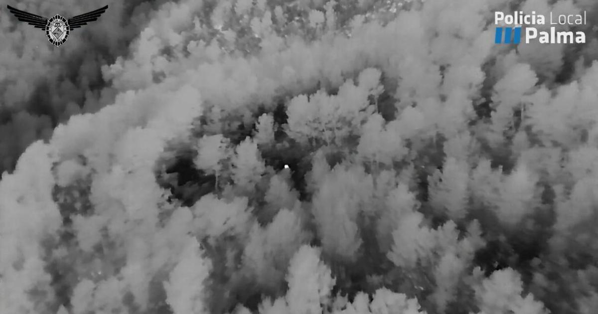 El vídeo que grabaron los drones de la Policía Local de Palma durante la búsqueda de la mujer desaparecida en Son Quint