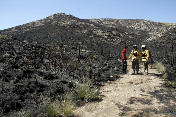 Las causas del incendio de cala Torta siguen bajo investigación