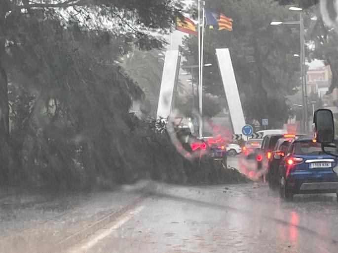 Sucesos.- Una mujer embarazada, herida al caerle un letrero encima debido al temporal, en Calvià (Mallorca)