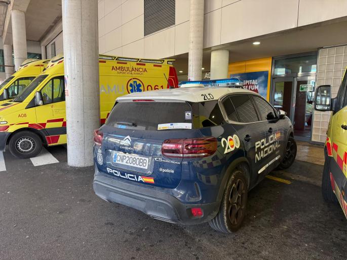 Detenido un joven en Son Gotleu tras protagonizar un altercado y enfrentarse a la policía