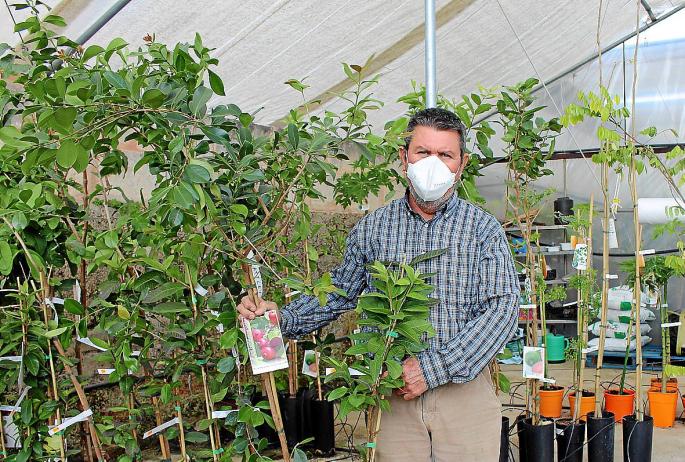 Viveros Esteva: «El cambio climático ha favorecido los árboles subtropicales en la Isla»
