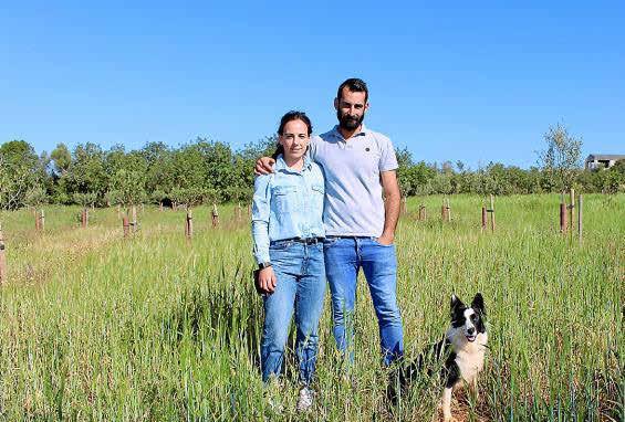 Agricultura en Mallorca