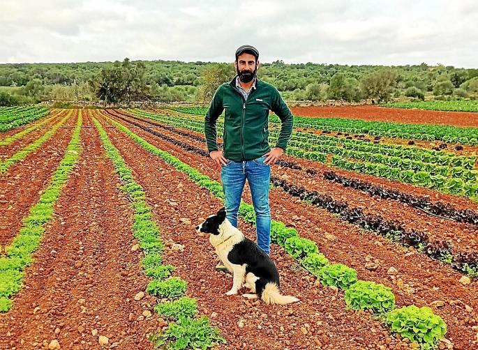 Agro Can Coll