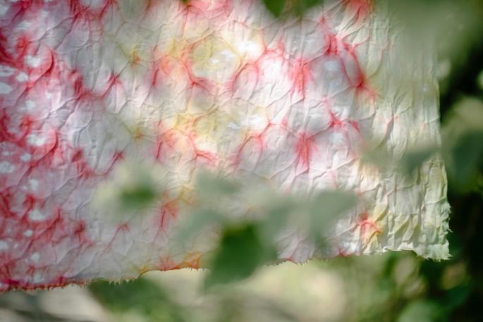 Descubre las telas clave para un verano fresco y cómodo