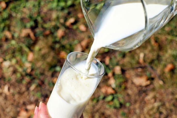 ¿Qué pasa si bebes leche todos los días?